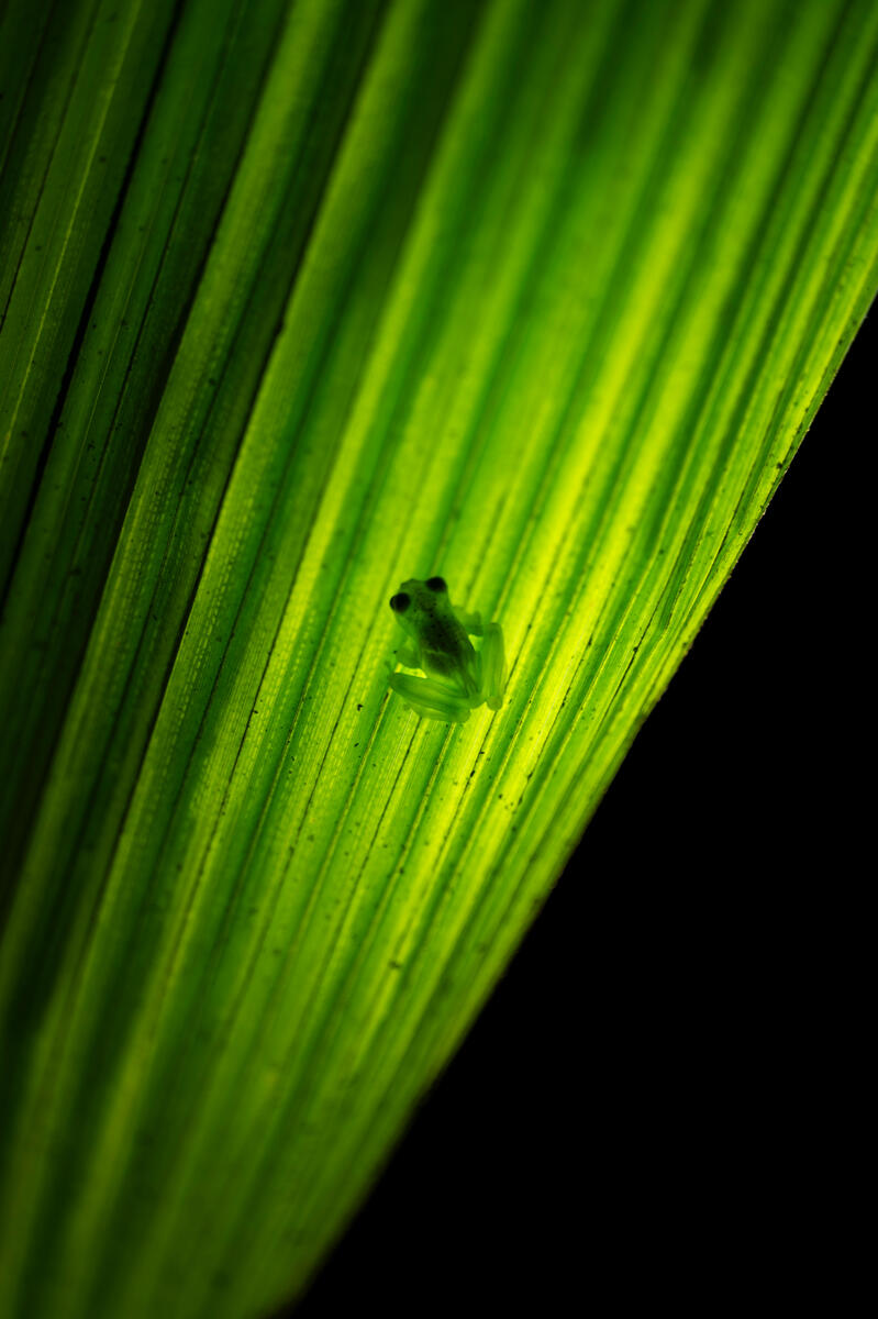 Untitled Untitled