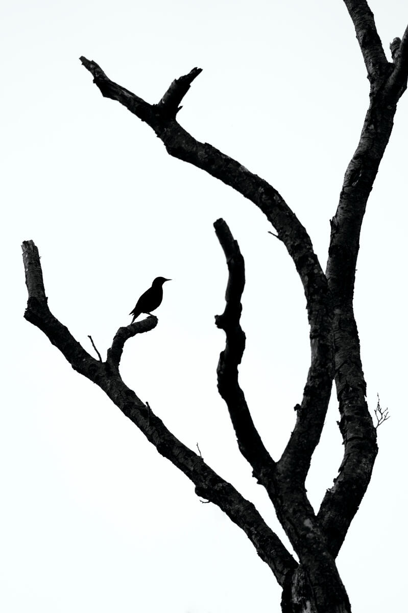 Untitled Untitled